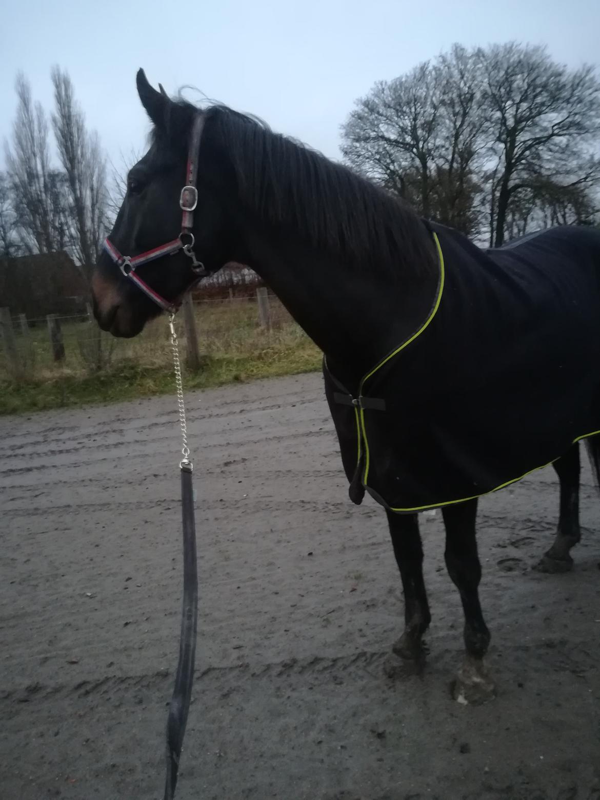 Oldenborg Akeem <3 billede 1