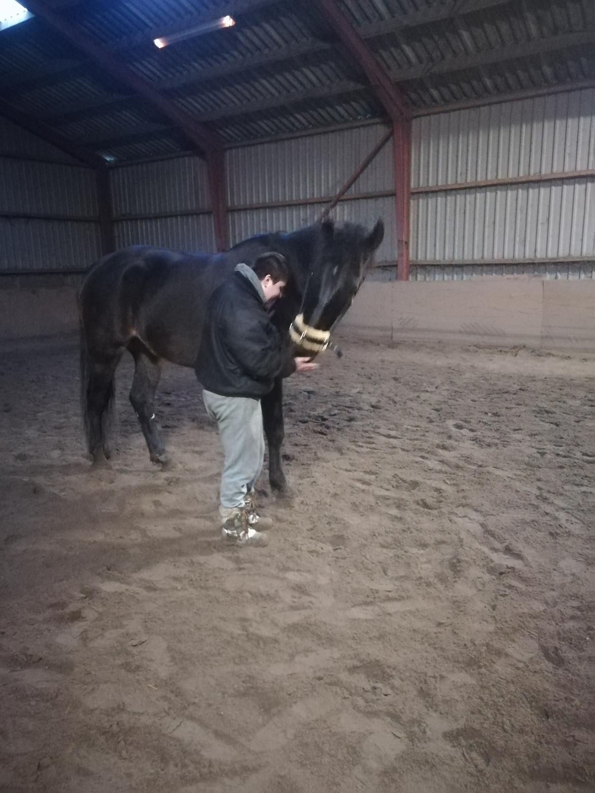 Oldenborg Akeem <3 billede 30