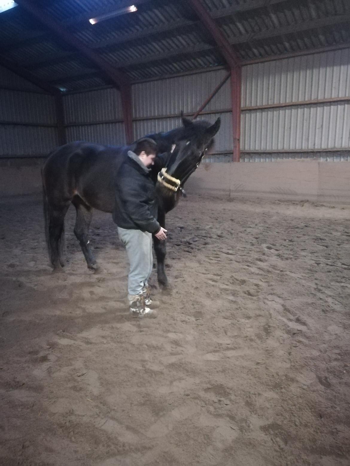 Oldenborg Akeem <3 billede 31