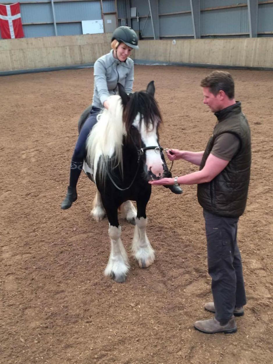 Irish Cob Mary's Prinsess by Lovecob - Første gang på ryggen af min skønne mule ❤️ billede 9