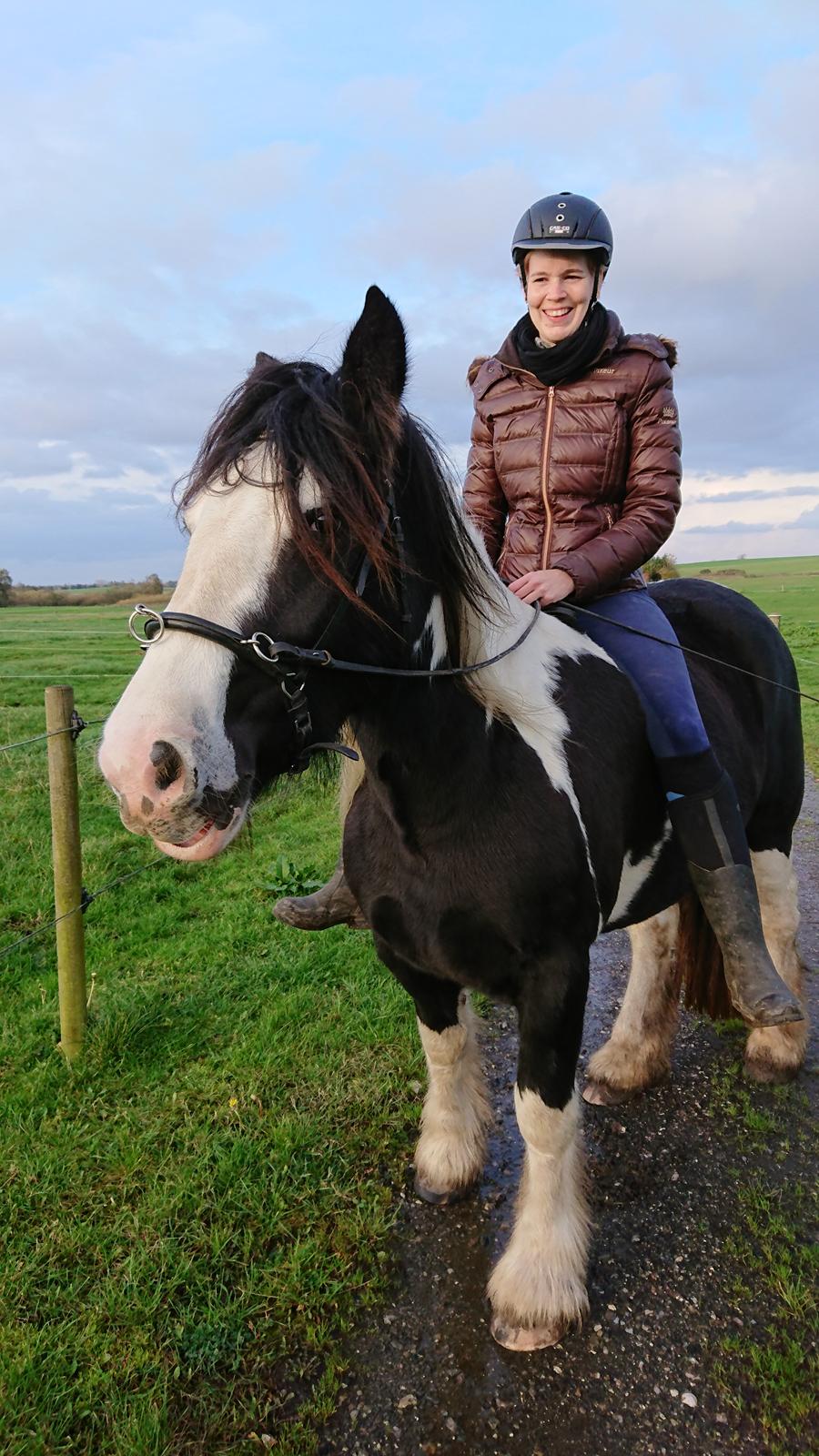 Irish Cob Mary's Prinsess by Lovecob - Første tur, og så cool 😎  billede 10