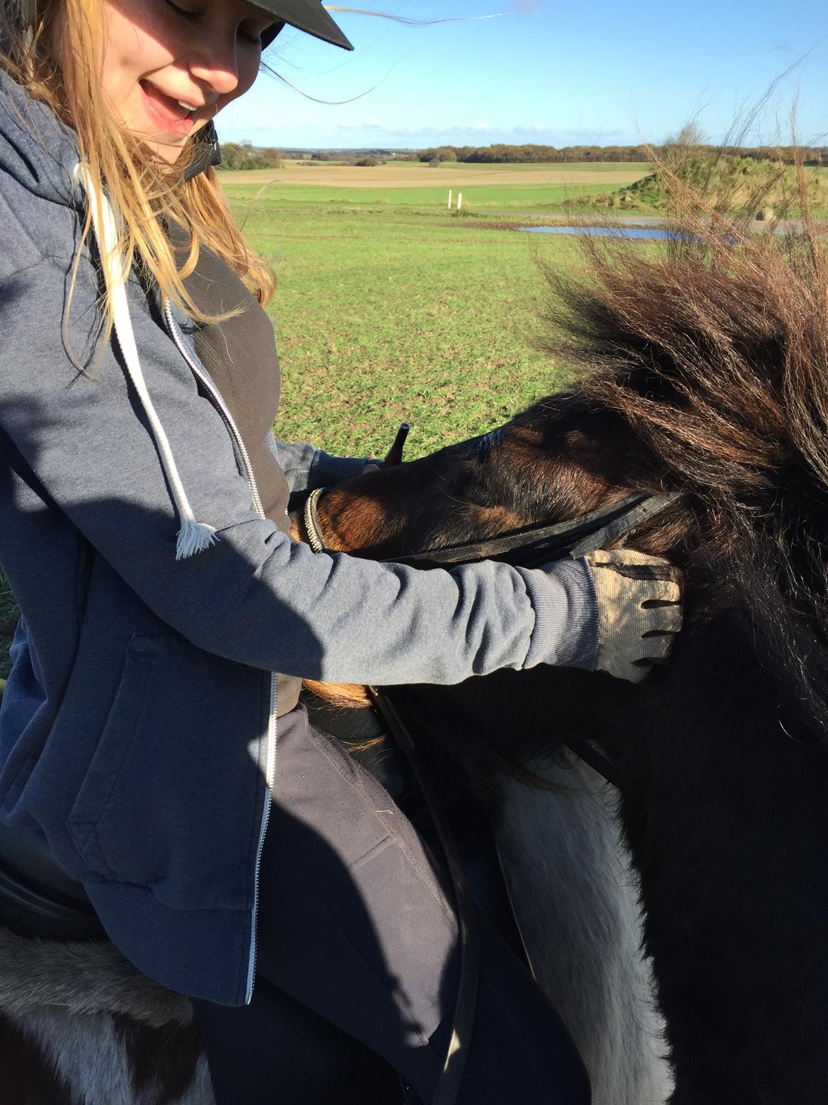 Islænder Frekur fra Troelsgaard R.I.P billede 20