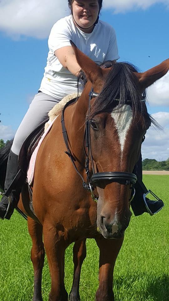 Anden særlig race Bella billede 3