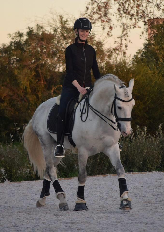 Lusitano Esperto billede 12