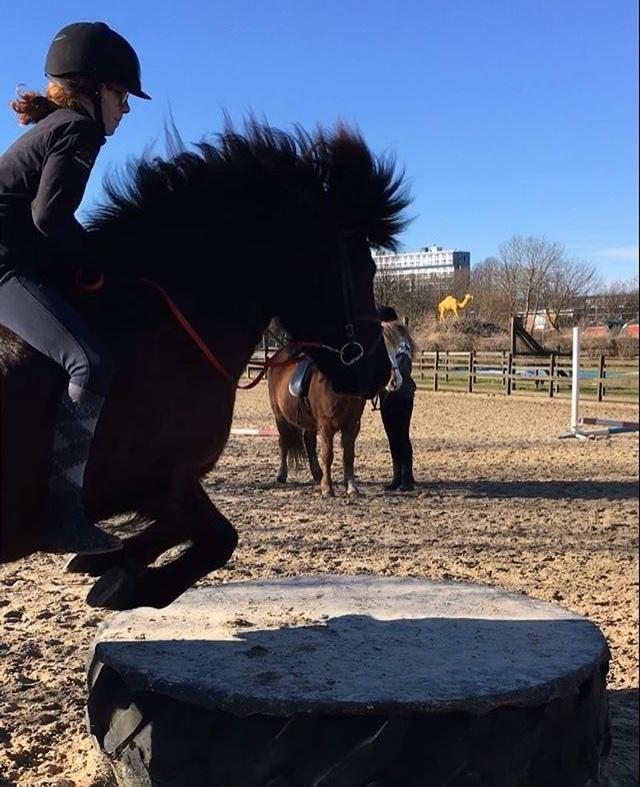 Islænder TVISTUR fra FRI-STEDET - Tvistur og Andrea til HMS på vej op på hjulet. billede 5
