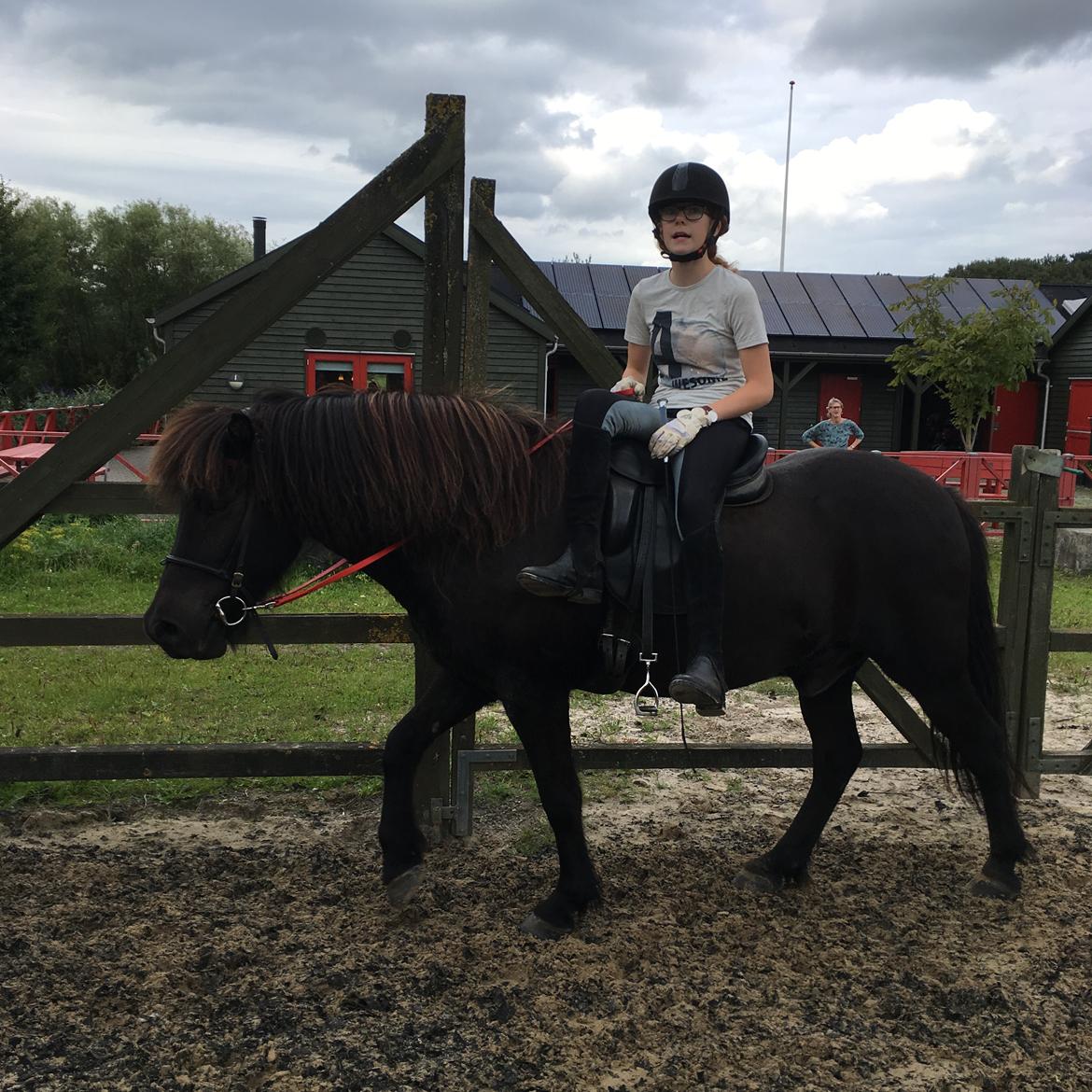 Islænder TVISTUR fra FRI-STEDET billede 6