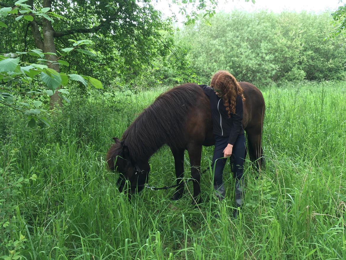 Islænder TVISTUR fra FRI-STEDET billede 7