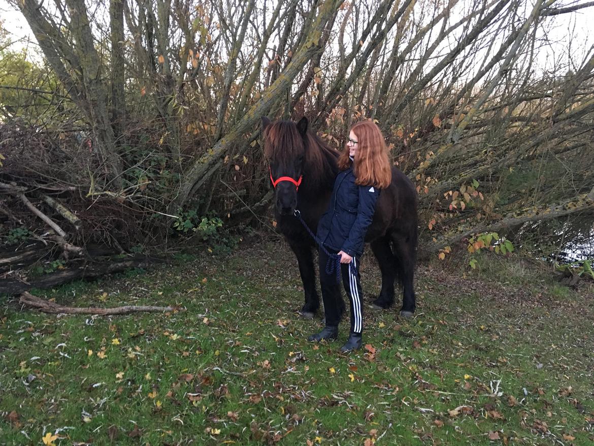 Islænder TVISTUR fra FRI-STEDET - Nu kommer der nogle billeder som er lånt af Andrea:) billede 4