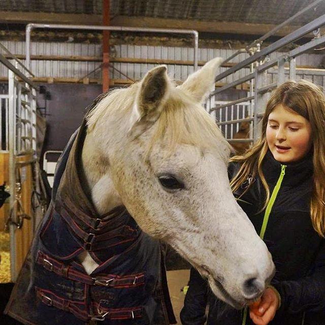 Anden særlig race Amadeus (aka Deuer) billede 10