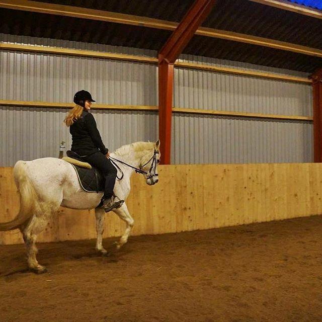 Anden særlig race Amadeus (aka Deuer) billede 4