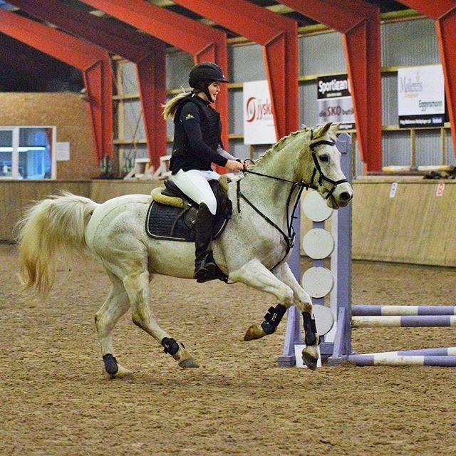 Anden særlig race Amadeus (aka Deuer) billede 2