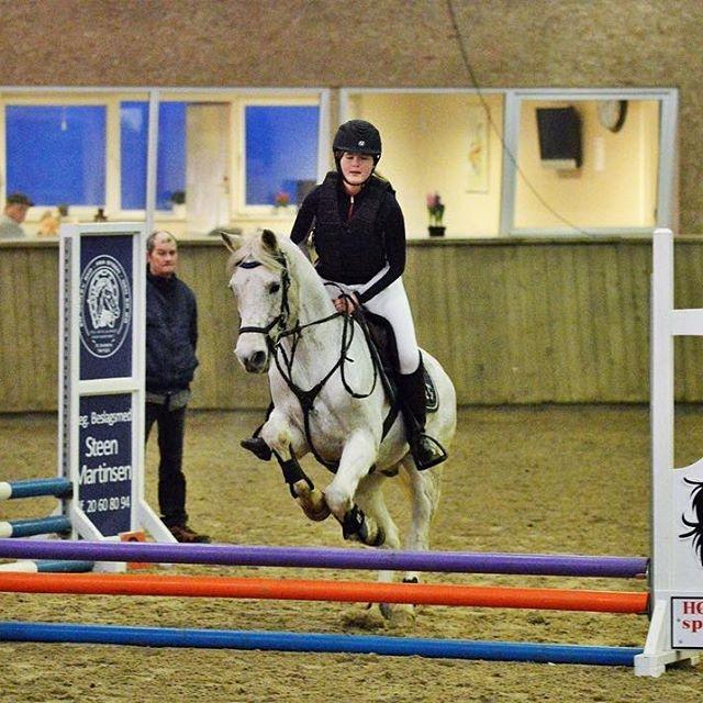 Anden særlig race Amadeus (aka Deuer) billede 9