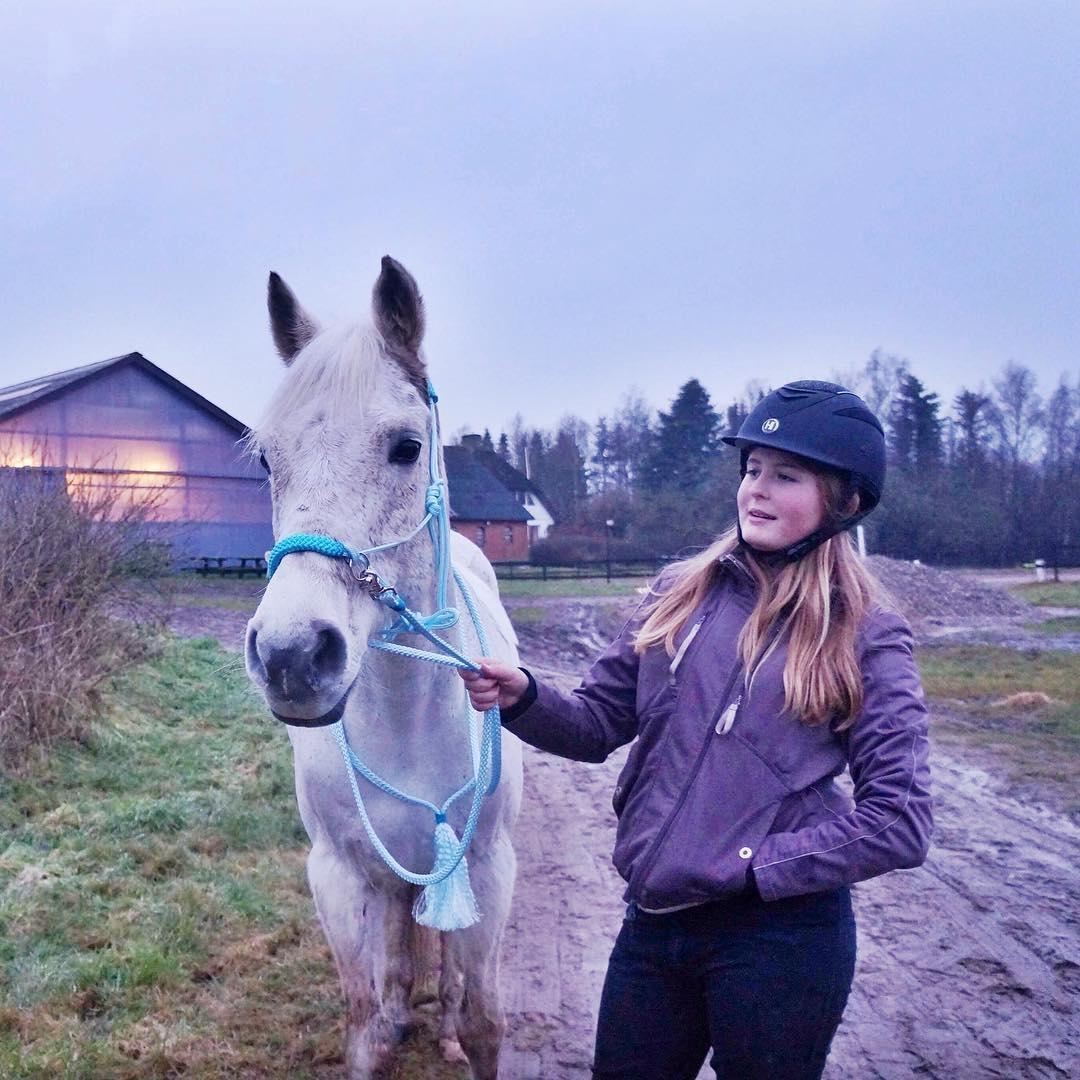 Anden særlig race Amadeus (aka Deuer) billede 18