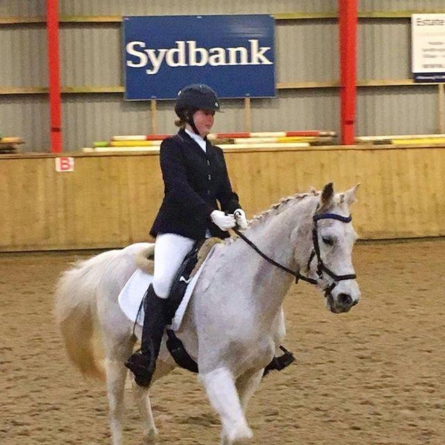 Anden særlig race Amadeus (aka Deuer) billede 16