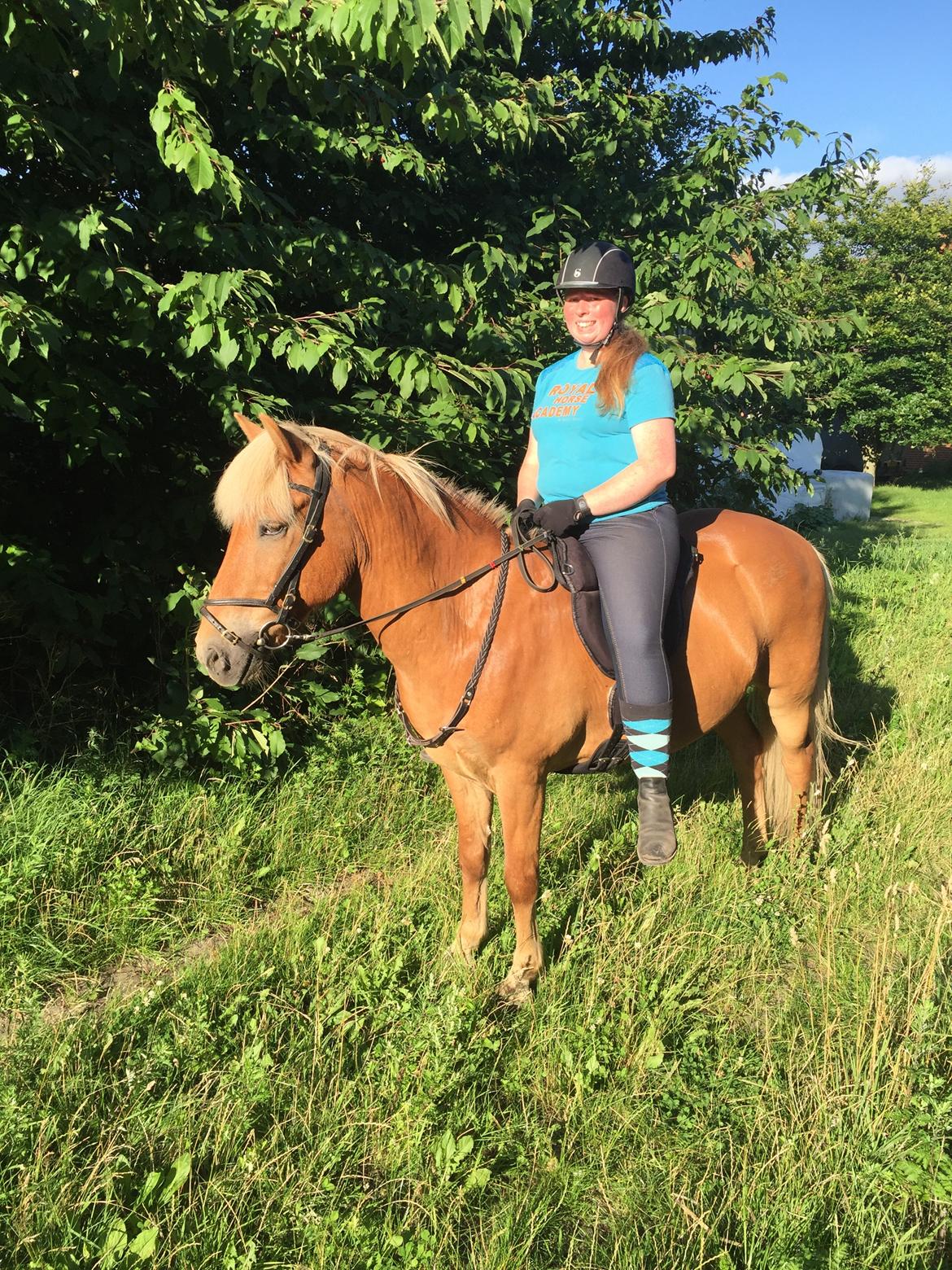 Islænder Neisti fra Skringstrup - ‘’Forever is a long time. But I wouldent mind spending it by your side’’ <3 billede 15