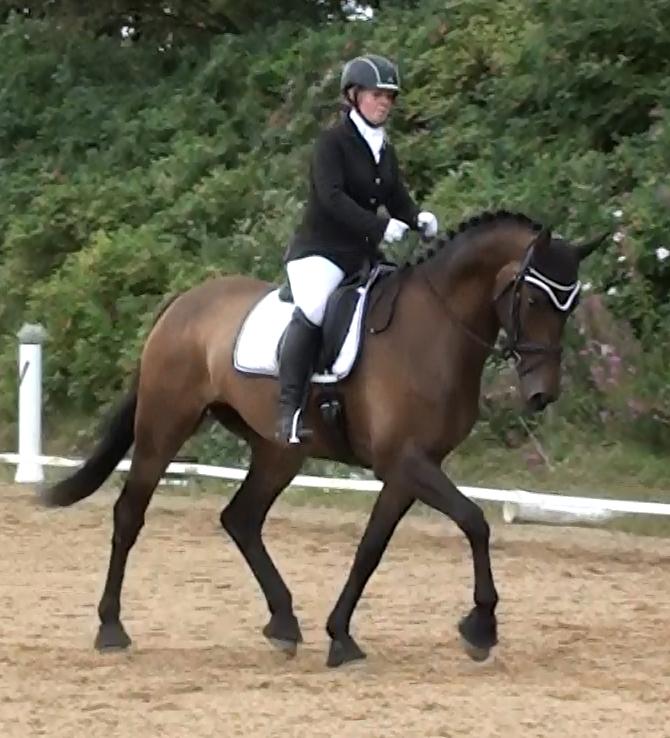 Dansk Varmblod Lisbjerggaards tiramisu - stævne august 2017, jeg var gravid i uge 26 der ♡ billede 9