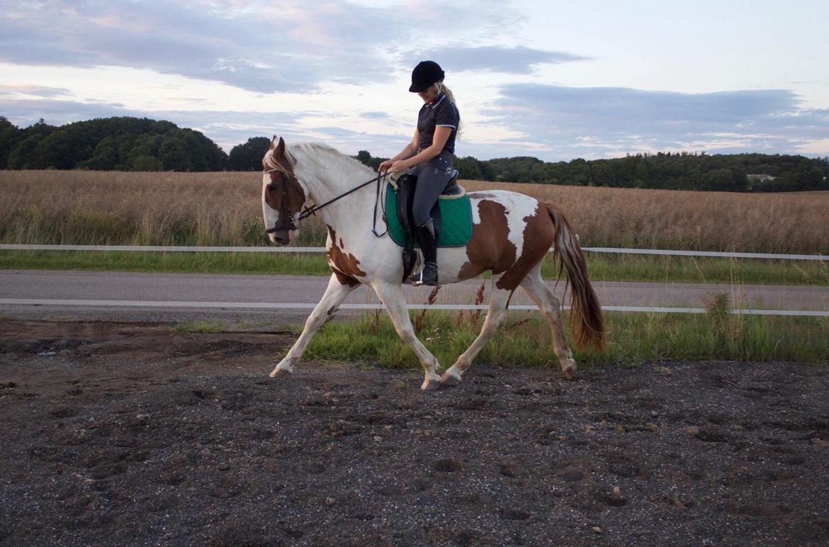 Anden særlig race Mathilda billede 11