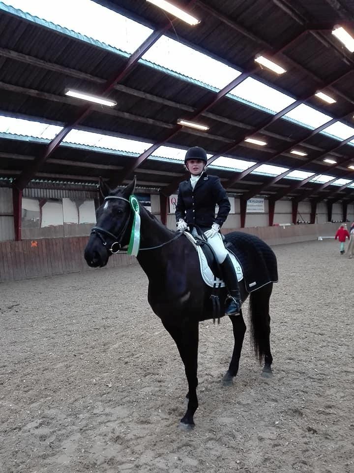 Trakehner Satori Birkedommergård - D. 04-02-2018, La1  66,38% billede 17