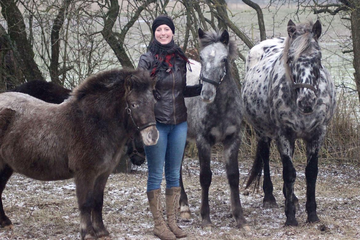 Knabstrupper Bakkehøjs Patricha billede 8