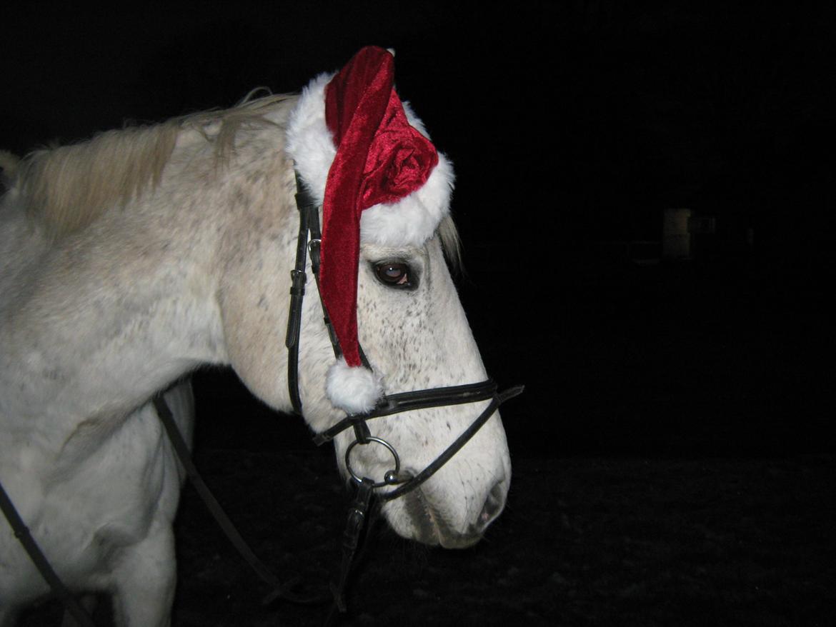 Anden særlig race Happy billede 9