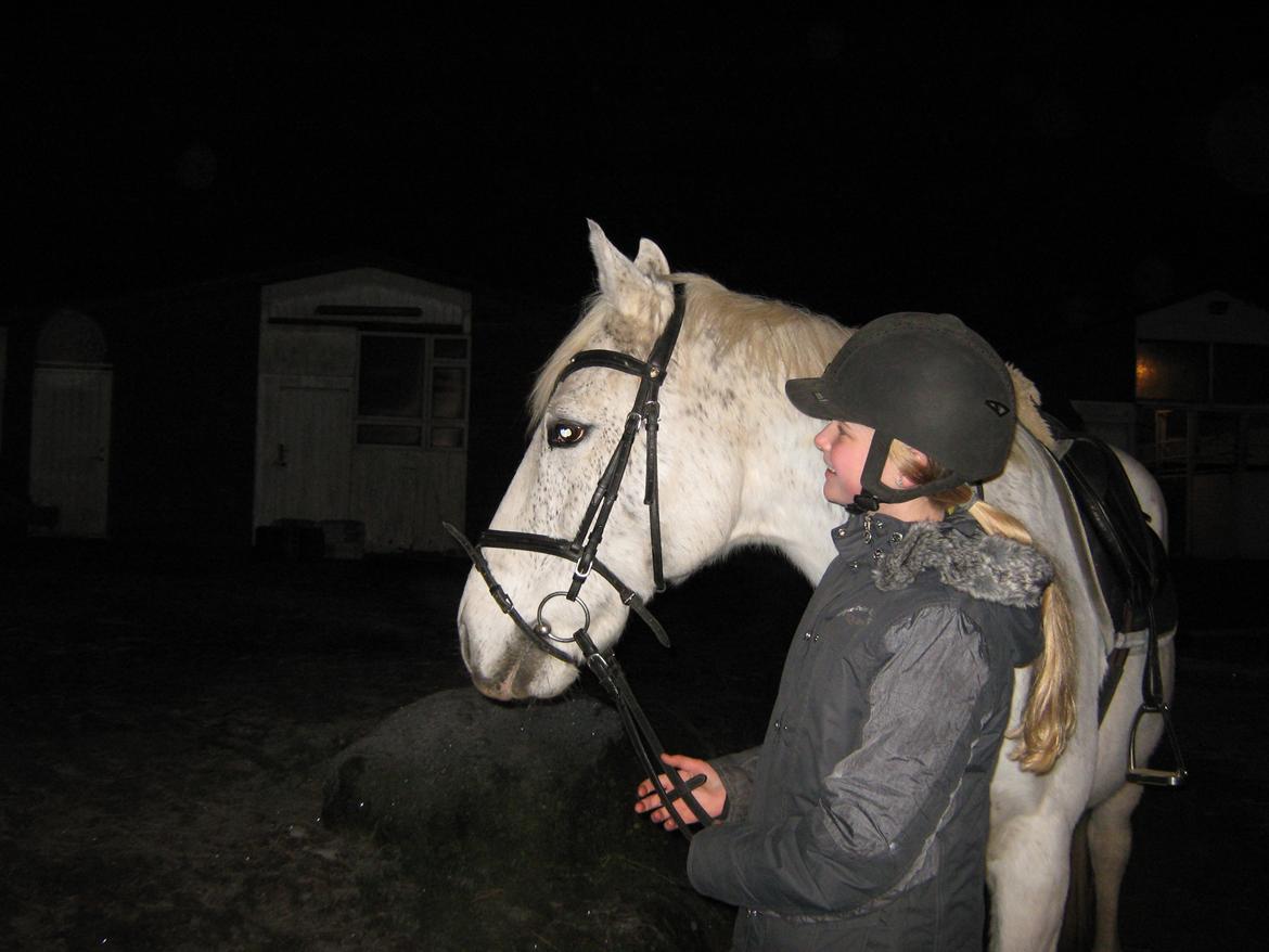 Anden særlig race Happy billede 4