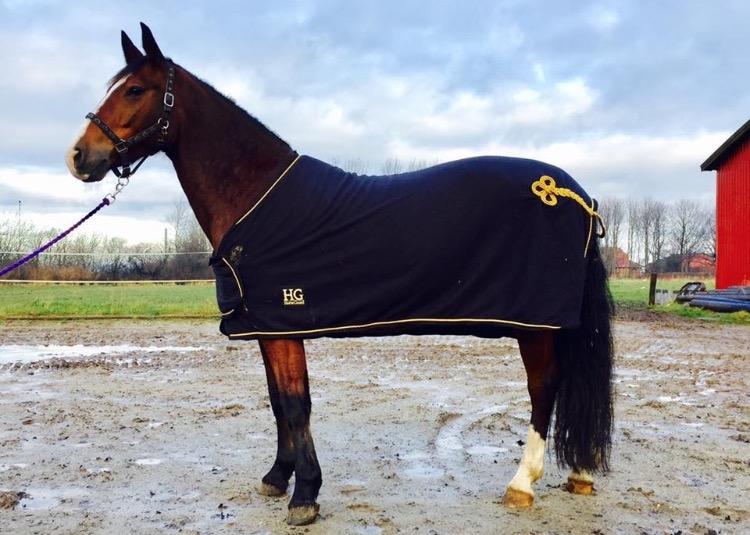 Anden særlig race Charmeur billede 1