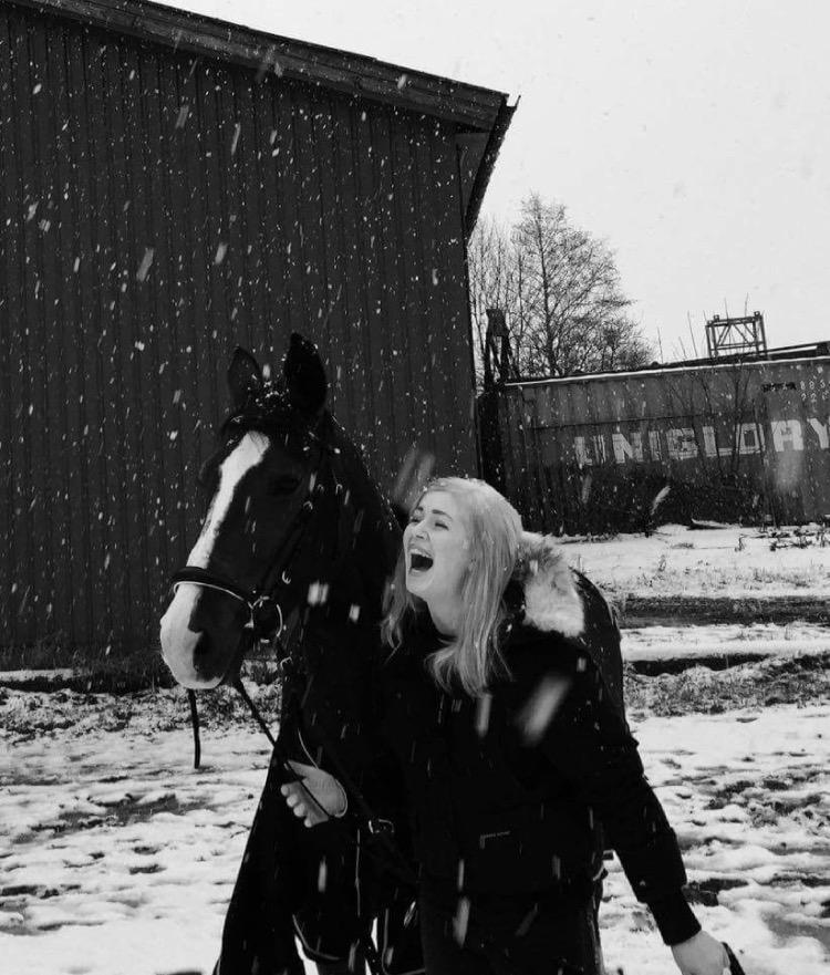 Anden særlig race Charmeur billede 4