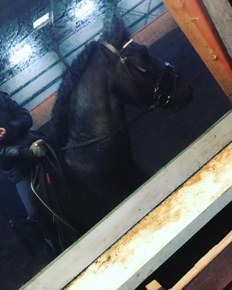 Frieser Van Helsing billede 4