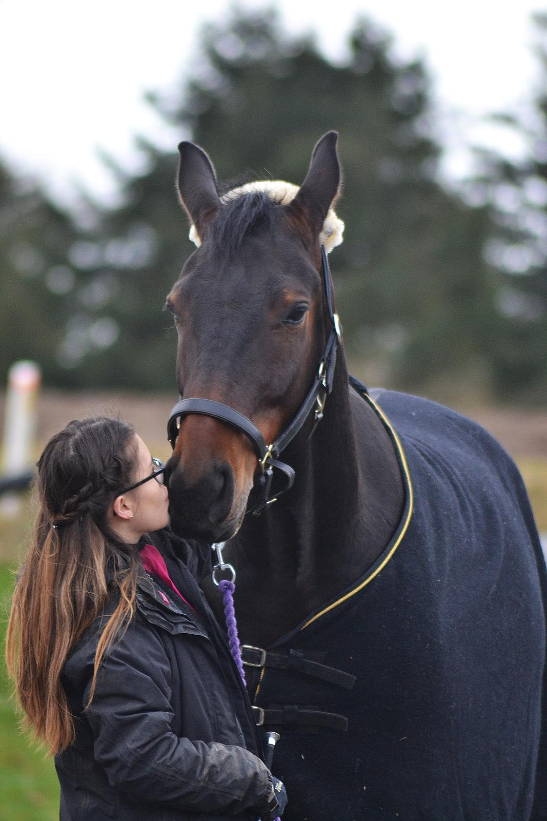 Anden særlig race Nyskovens silas af skovsøgård billede 8