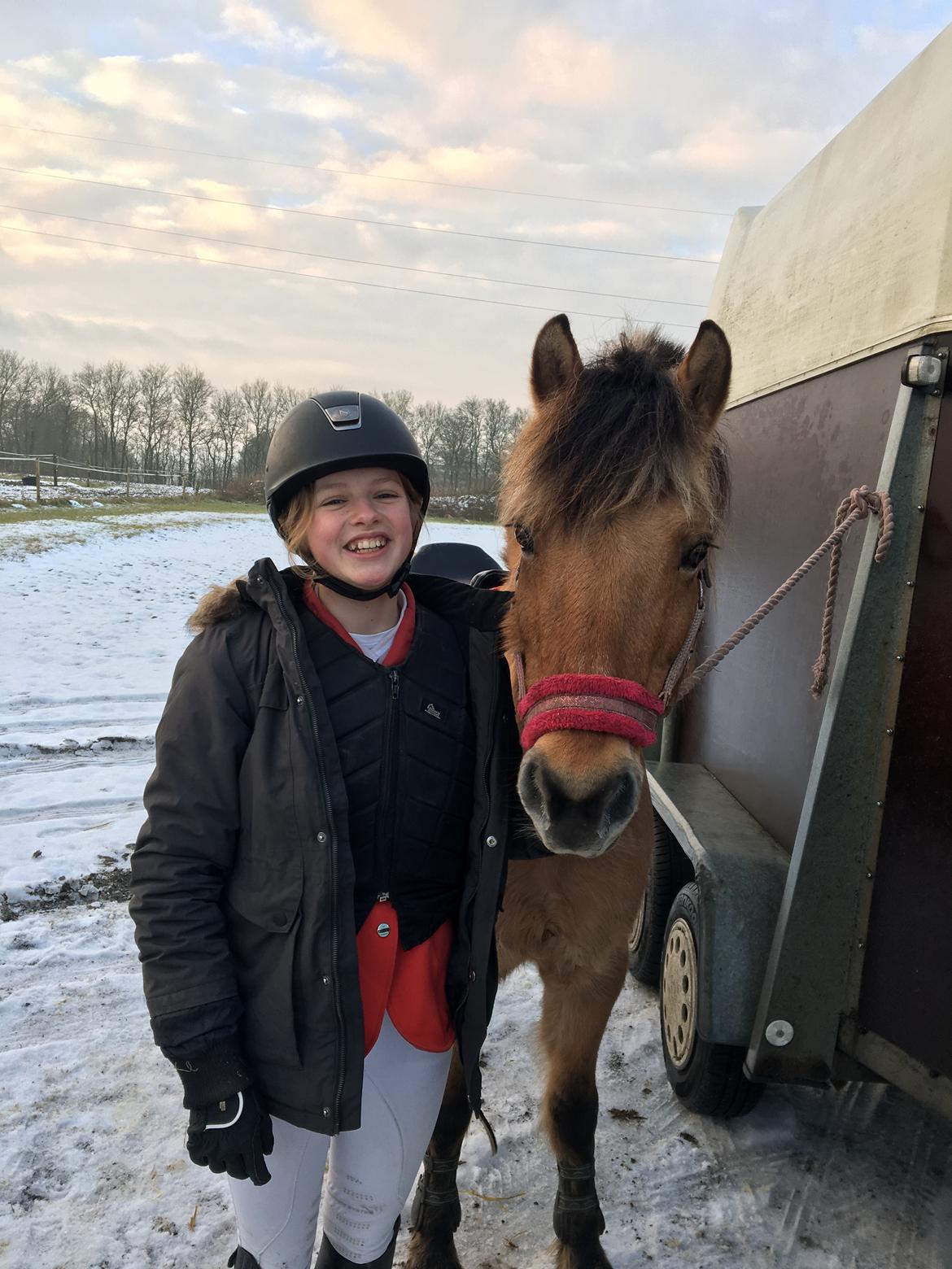 Anden særlig race Maude af mølleagergård billede 15