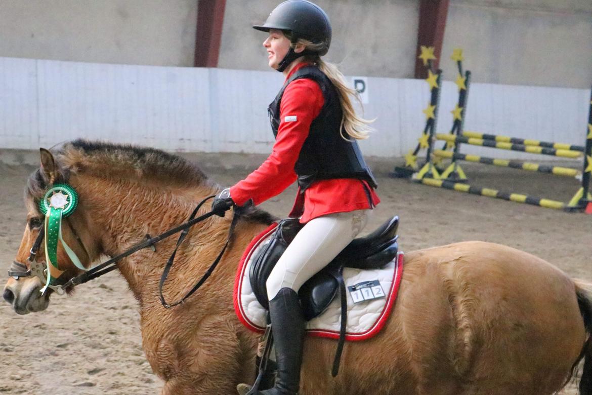 Anden særlig race Maude af mølleagergård billede 17