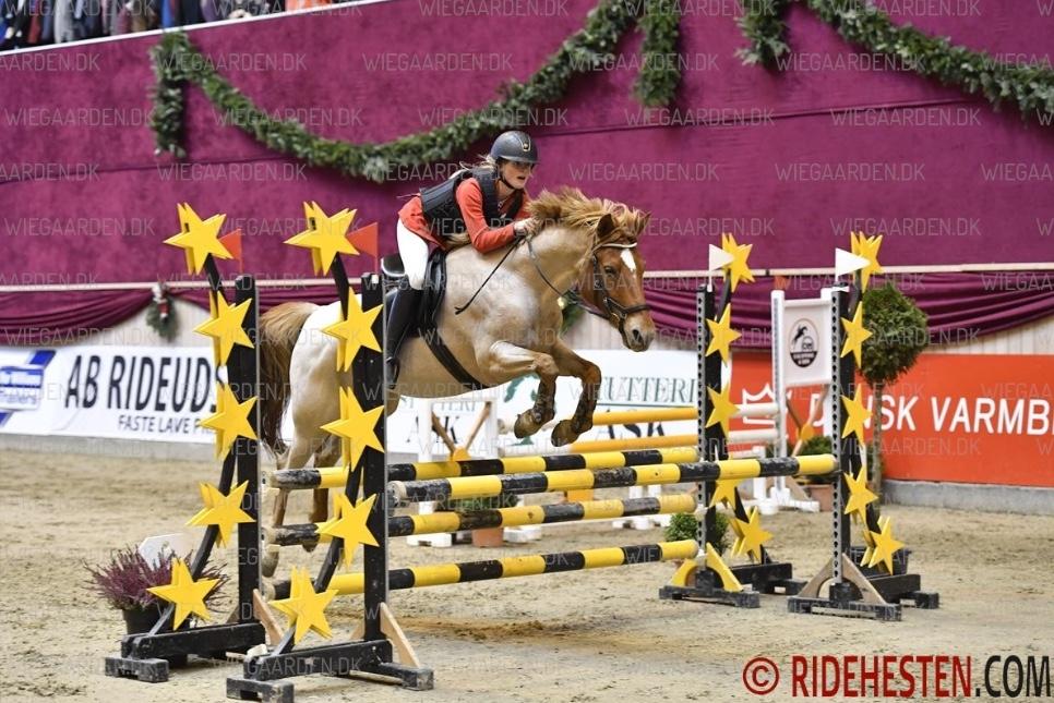 Anden særlig race Staldens salina billede 13