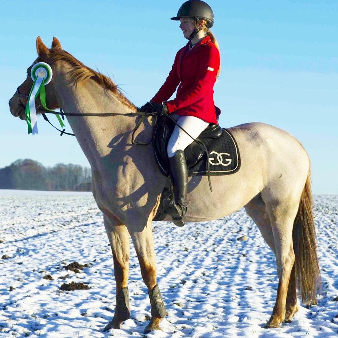 Anden særlig race Staldens salina billede 14