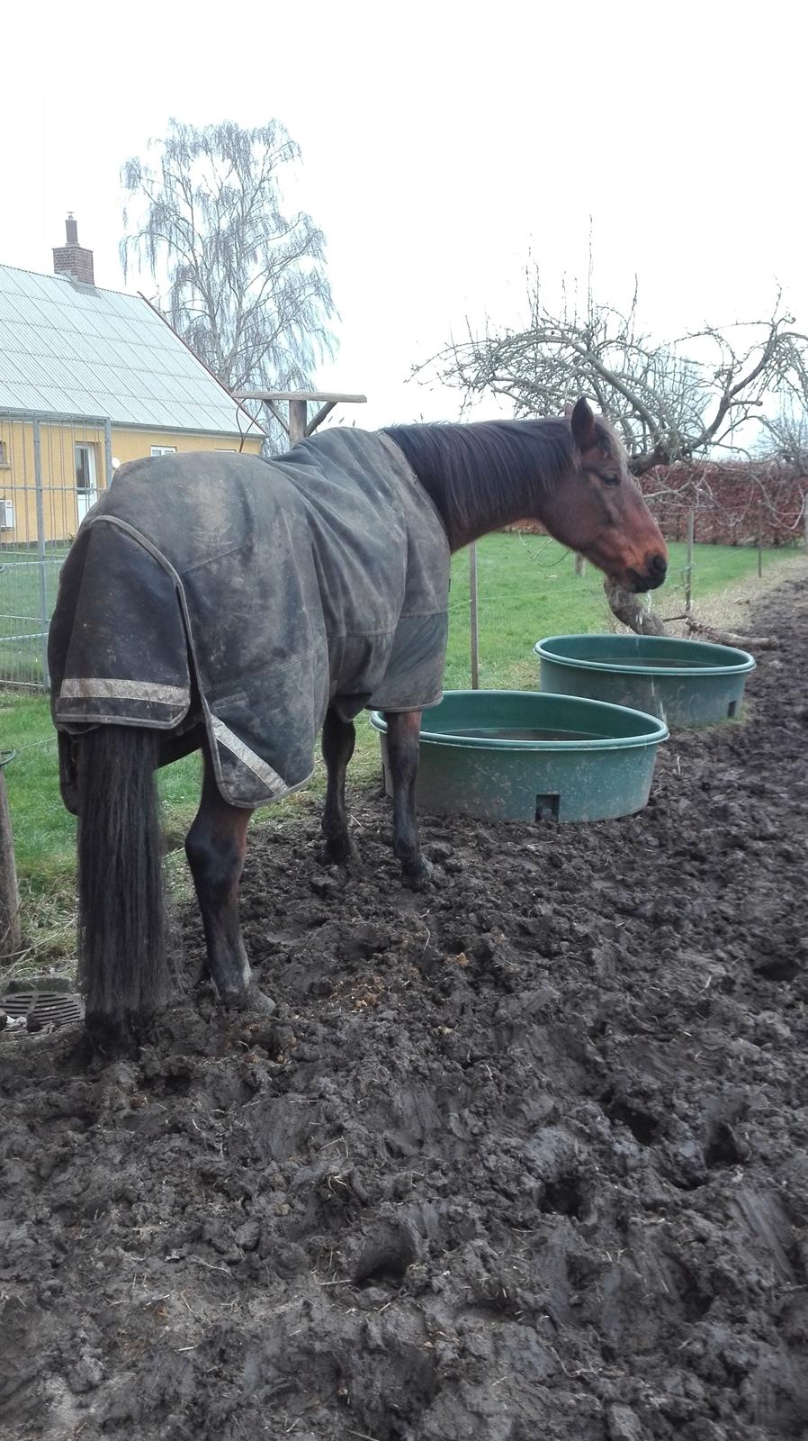 Traver Opal Street billede 8