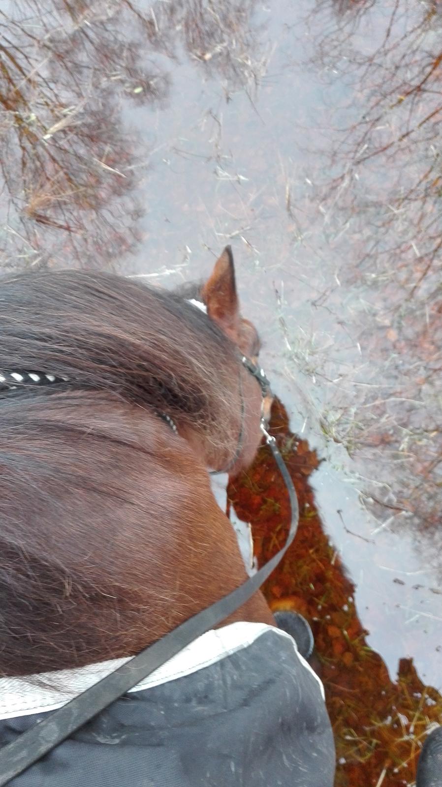 Traver Opal Street billede 12