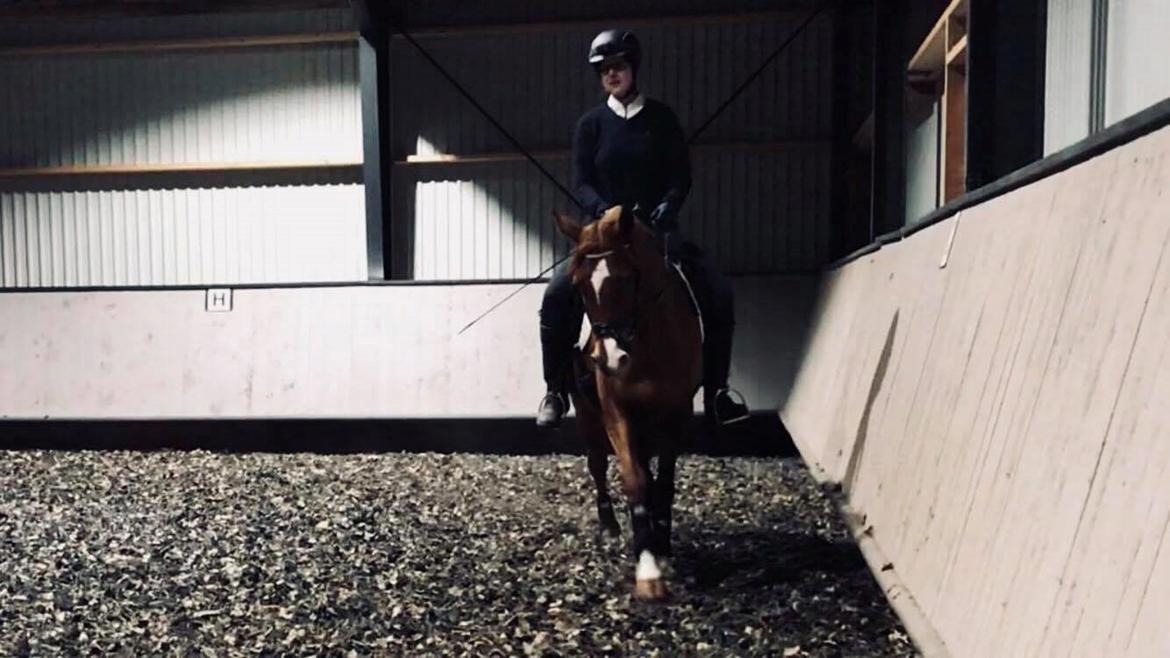 Anden særlig race Magnolias Jessica billede 10