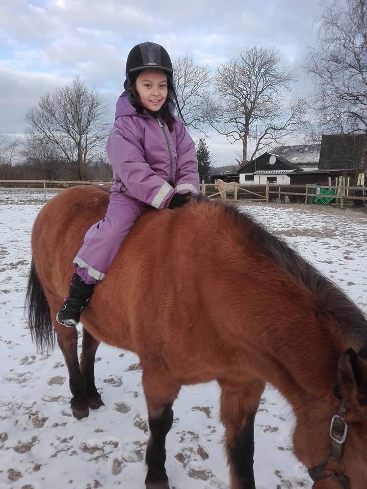 Anden særlig race Ginger - Første gang Bella sad på Ginger <3 Læg mærke til Bella' smil :-) billede 5