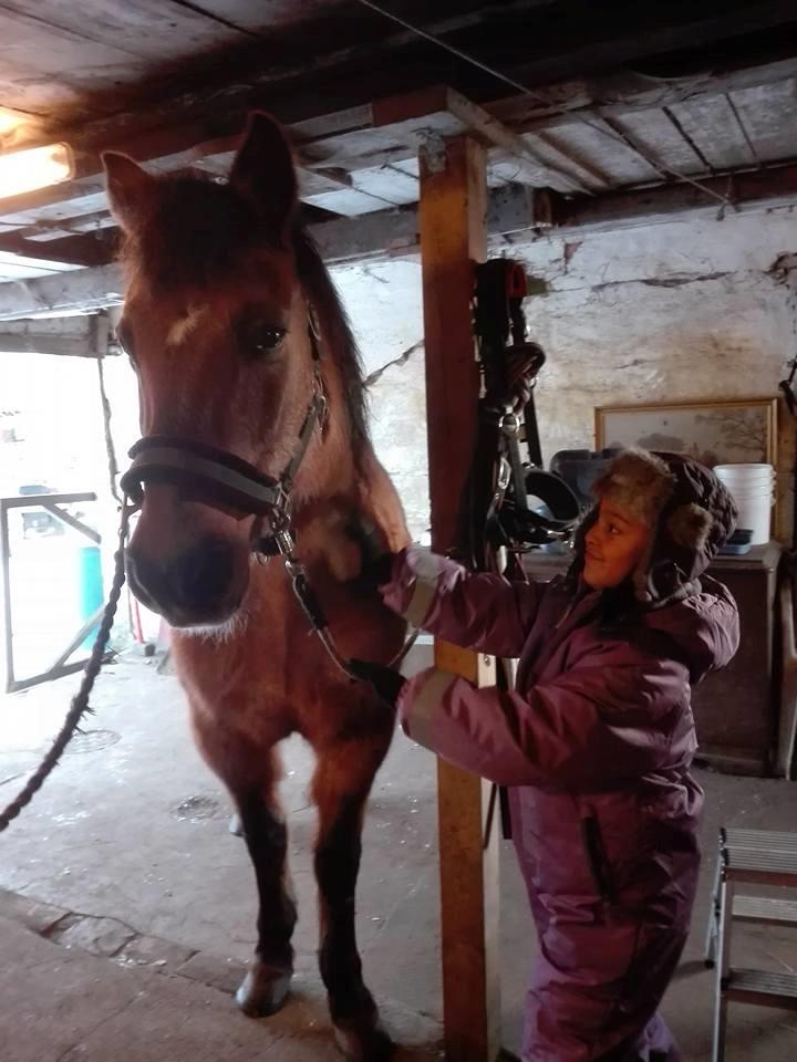 Anden særlig race Ginger - Hun nyder virkelig at blive nusset om :-)  billede 29