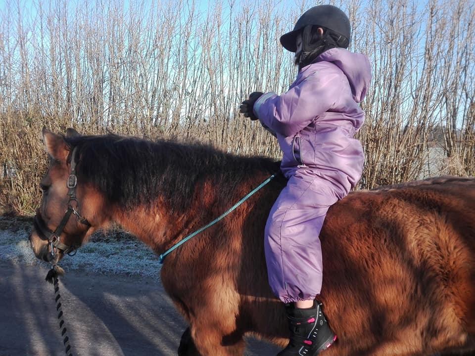 Anden særlig race Ginger - Også uden hænder :-) billede 31