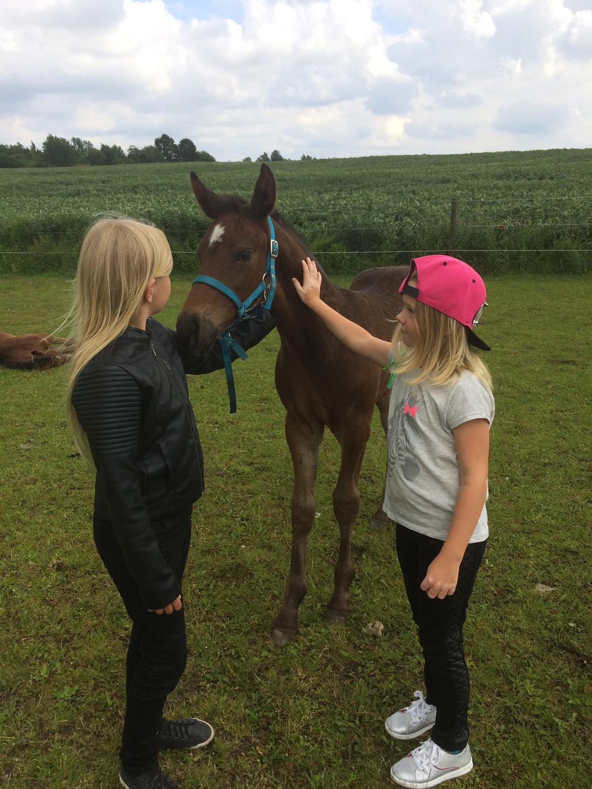 Oldenborg Kirsebærgårdens le azeidon billede 1