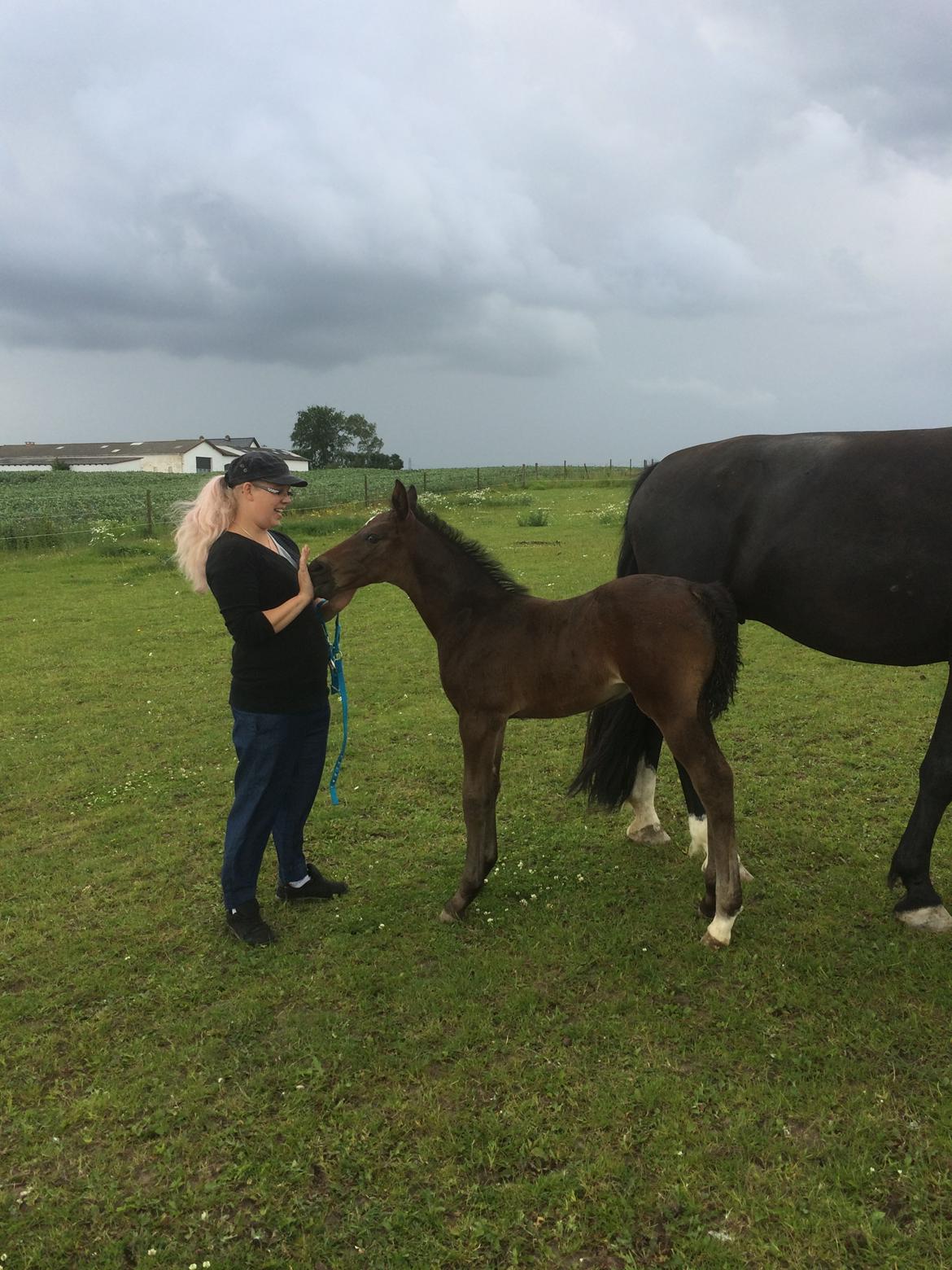 Oldenborg Kirsebærgårdens le azeidon billede 2