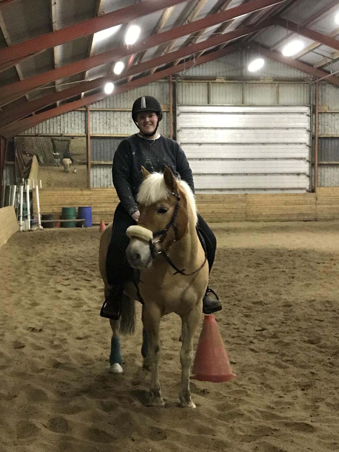 Anden særlig race Phillip (Fibse) billede 23