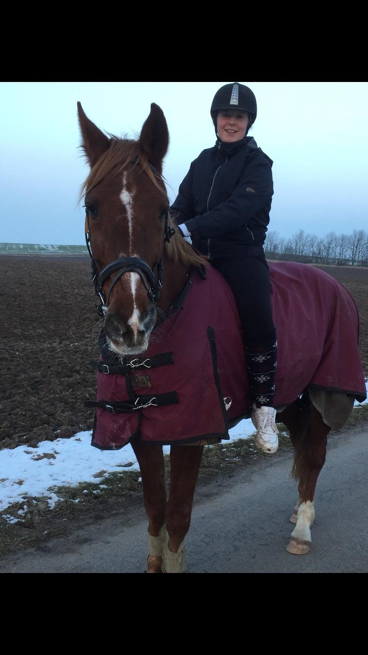 Traver Fighter Fay billede 10