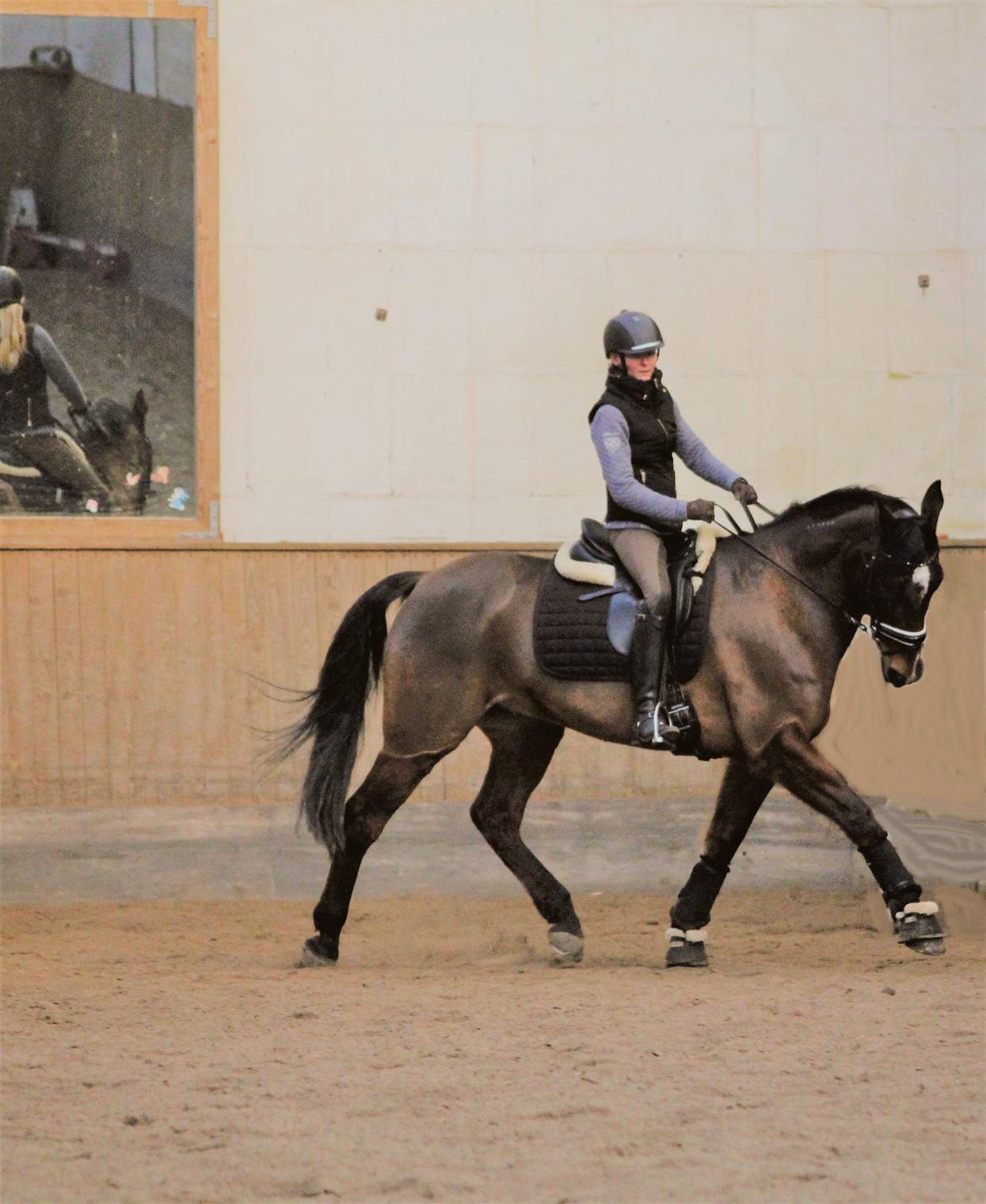 Traver Kenny u.a. - Undervisning d.18.02.18 billede 8