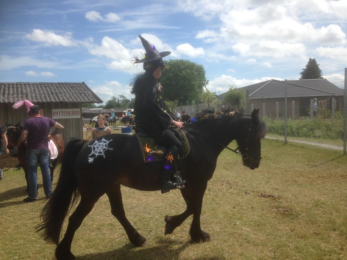 Anden særlig race Soya billede 5