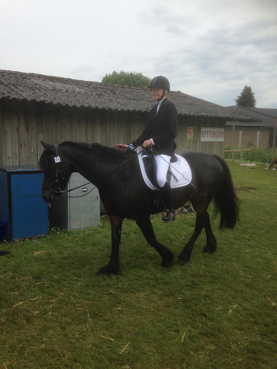 Anden særlig race Soya billede 2