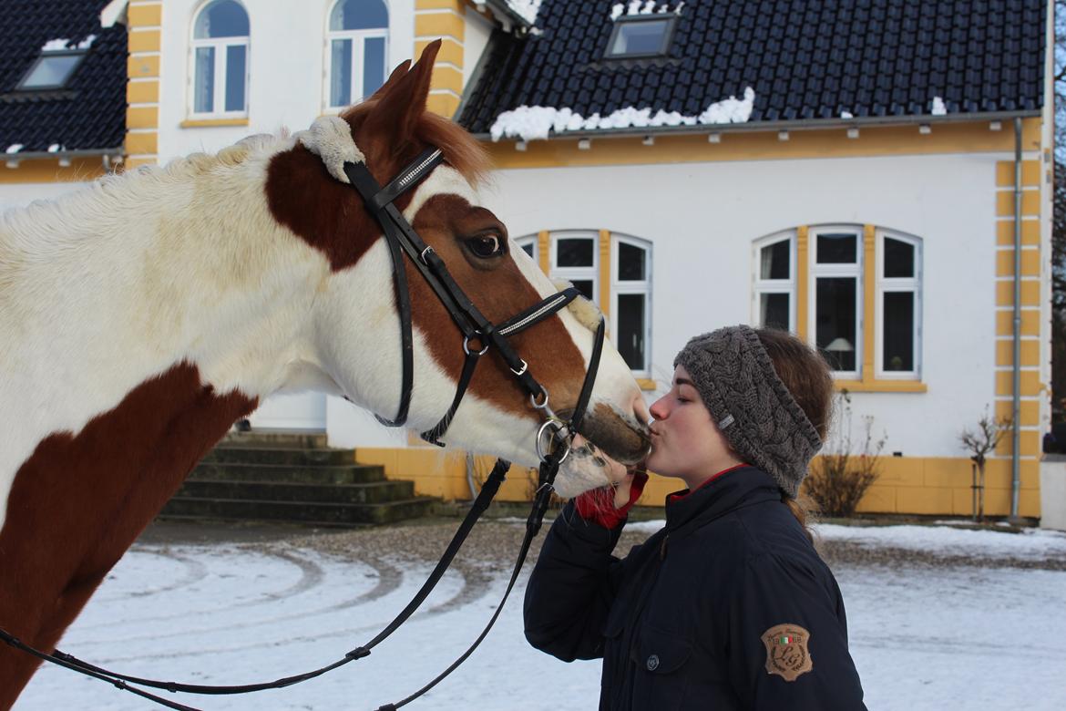 Pinto What A Spot - I'm so in love with you billede 8