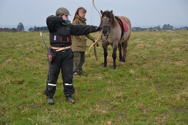 Anden særlig race Bruno Monti - Bruno og jeg under et af vores første møder -Han stifter bekendtskab med buen billede 6