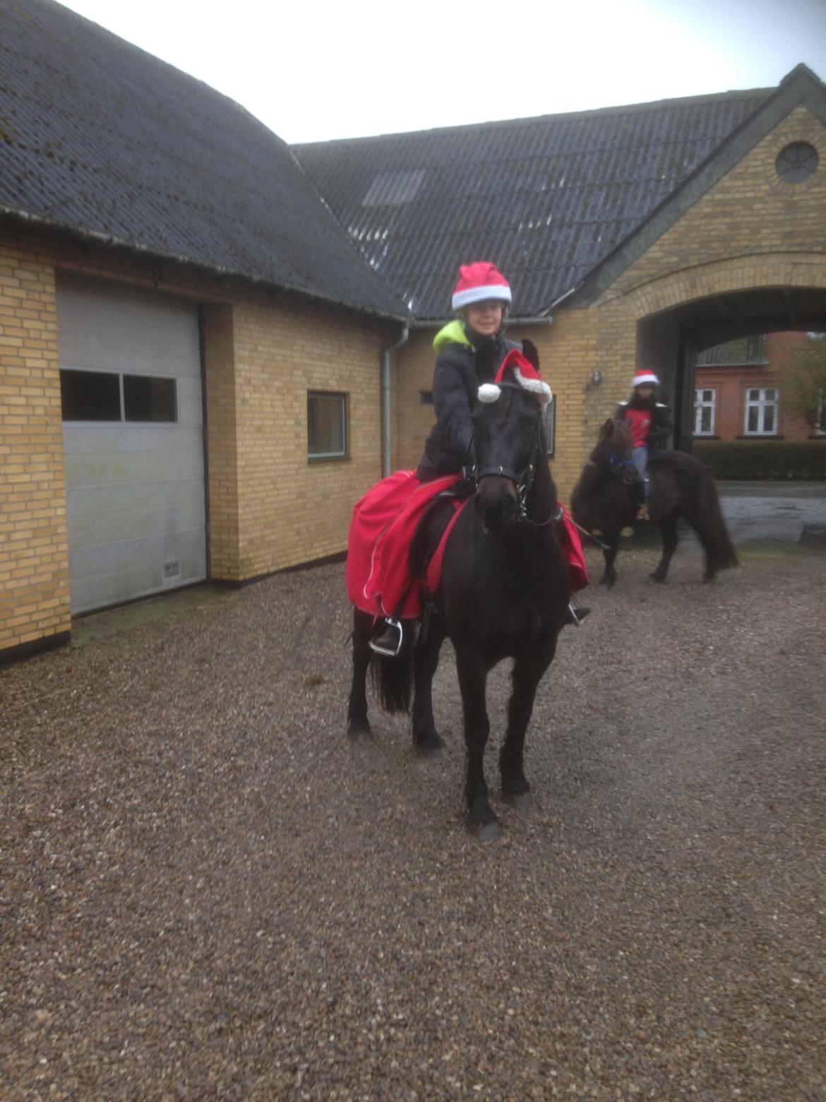 Anden særlig race Soya billede 6