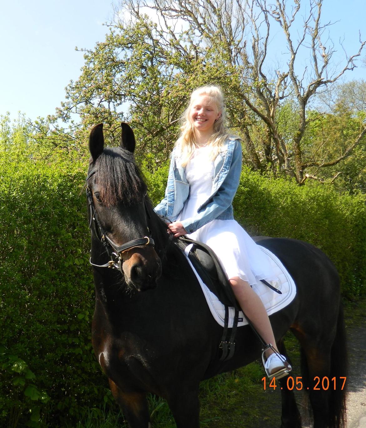 Anden særlig race Soya billede 7